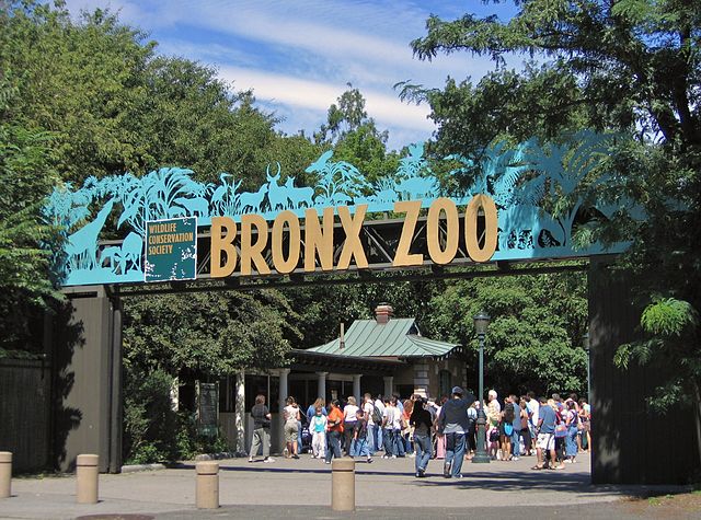 Bronx Zoo - Top Ranked Zoos in US