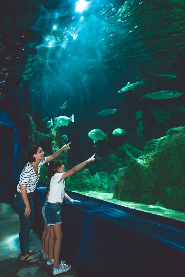 Henry Doorly Zoo and Aquarium - Top Ranked Zoos in US