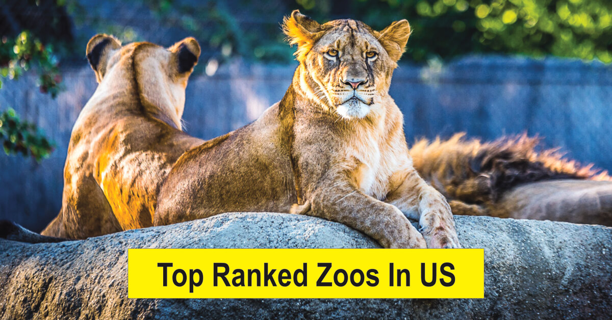 Top Ranked zoos in US